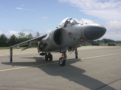 Harrier 01